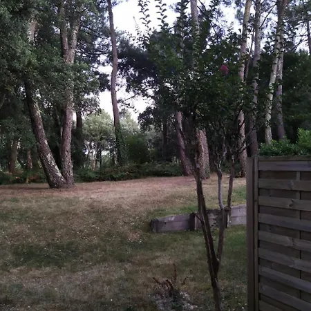 Le Domaine Du Golf De Pinsolle - Maeva - 2 Pieces 5 Personnes - Selection Mae-8544 شقة سوستون